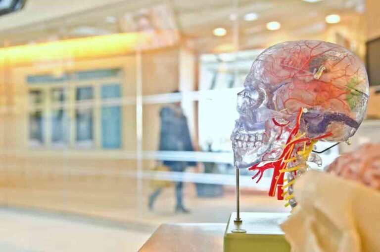 Top Universities for Medical Education